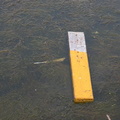 Meadow Lake