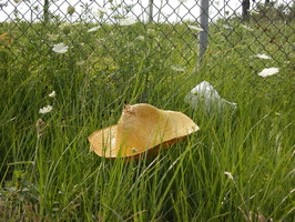 Meadow Lake