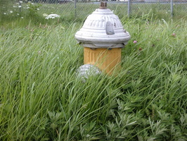 Meadow Lake