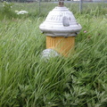 Meadow Lake