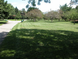 Queens Botanical Garden 