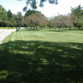 Queens Botanical Garden 