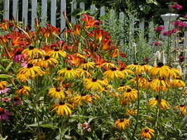 Queens Botanical Garden 