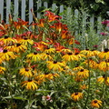 Queens Botanical Garden 