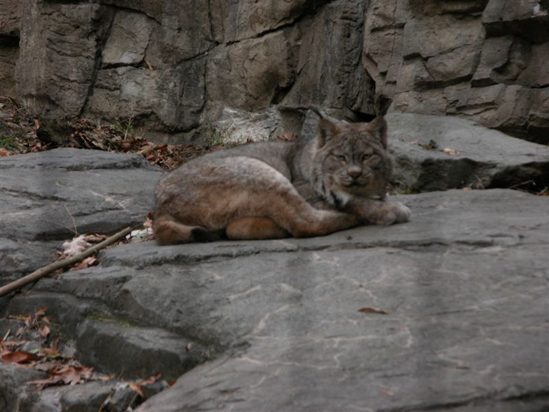 DSCN4436.jpg