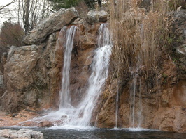Waterfall at the Queens Zoo