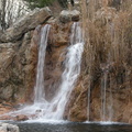 Waterfall at the Queens Zoo
