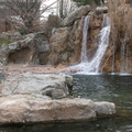 Waterfall at the Queens Zoo