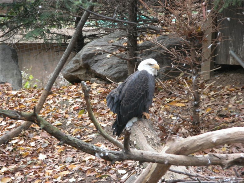 DSCN4482.jpg