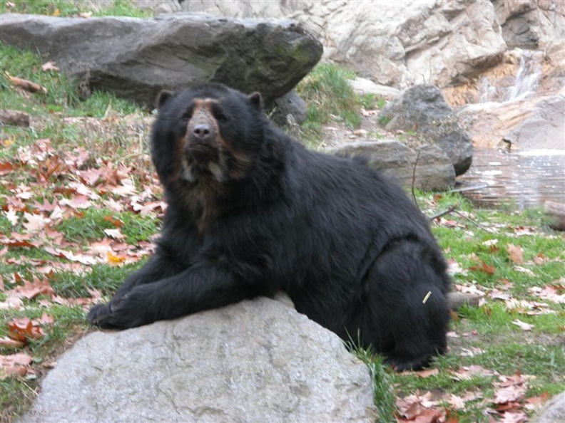 DSCN4501.jpg