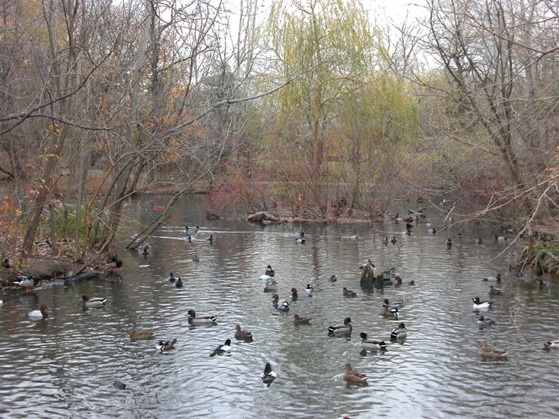 DSCN4514.jpg