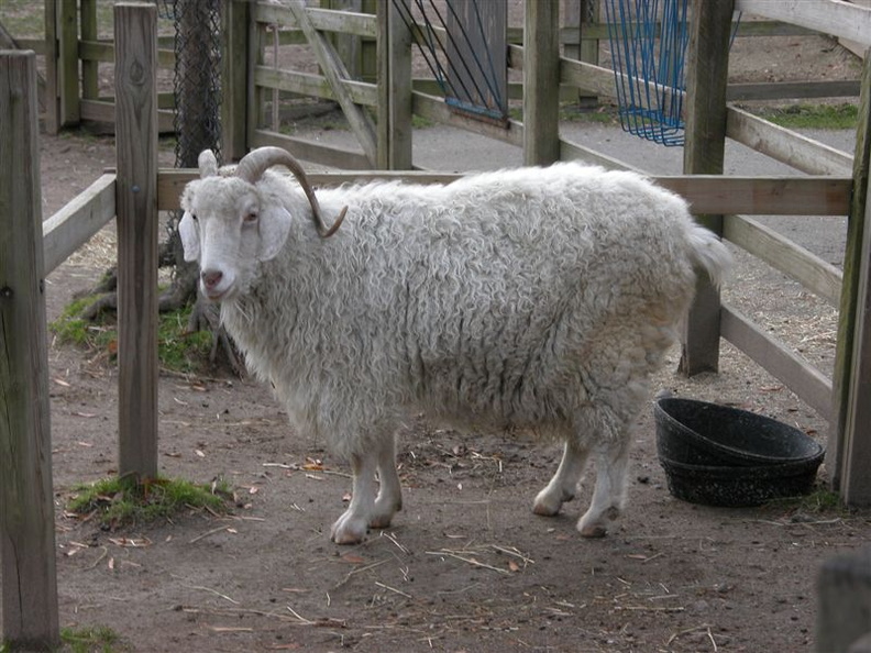 DSCN4541.jpg