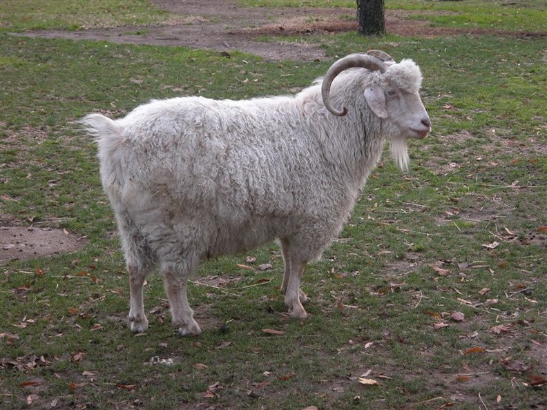 DSCN4544.jpg