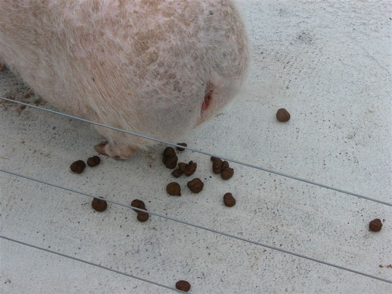 DSCN4581.jpg