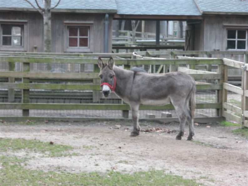 DSCN4586.jpg