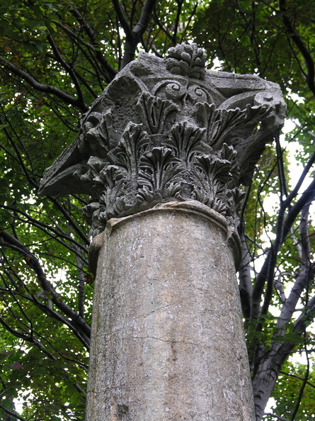DSCN8736.jpg