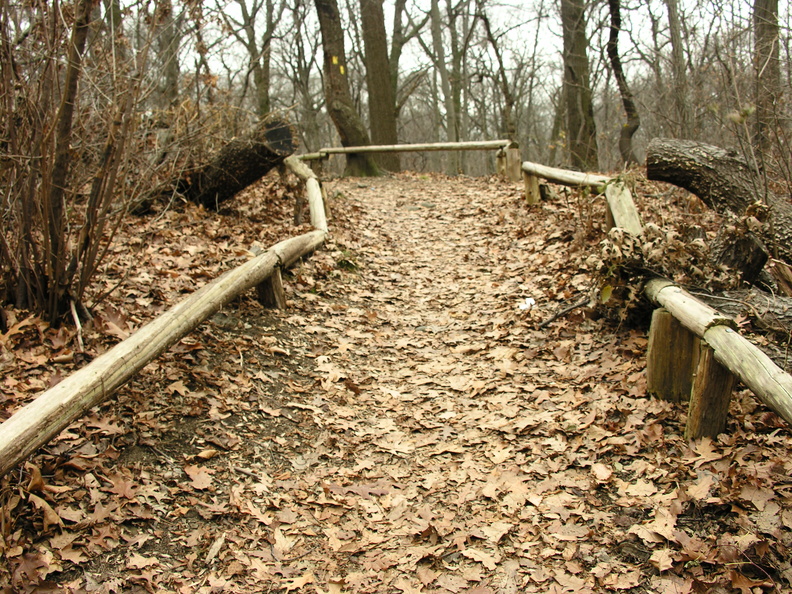 Forest Park. Forest Hills, Queens, NYC.