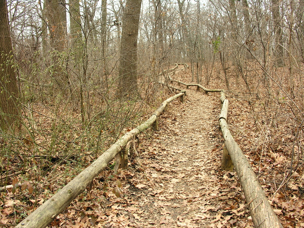 Forest Park. Forest Hills, Queens, NYC.