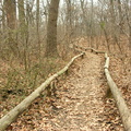 Forest Park. Forest Hills, Queens, NYC.