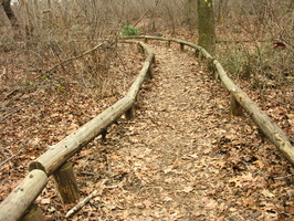 Forest Park. Forest Hills, Queens, NYC.