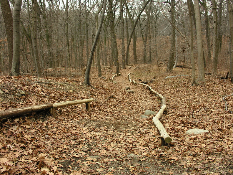 Forest Park. Forest Hills, Queens, NYC.