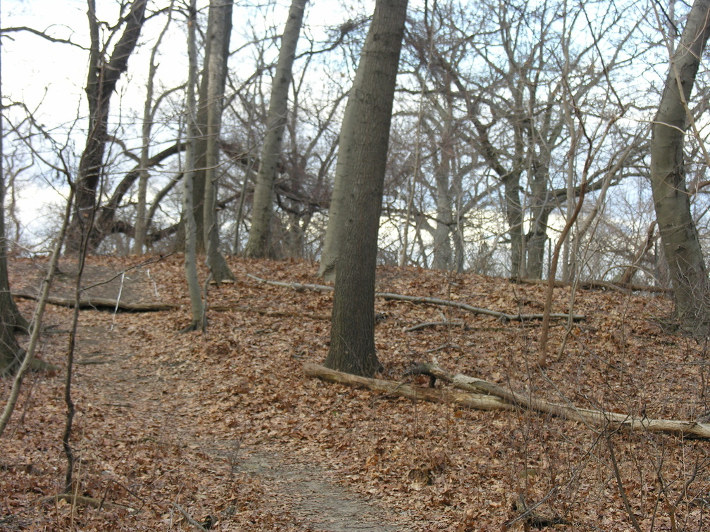 Forest Park. Forest Hills, Queens, NYC.