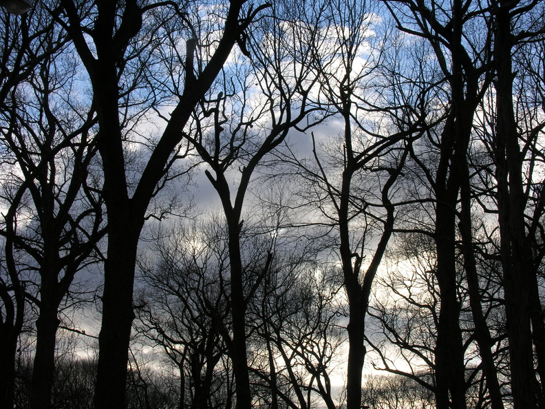 Forest Park. Forest Hills, Queens, NYC.