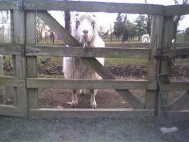 Picture010 26Nov03