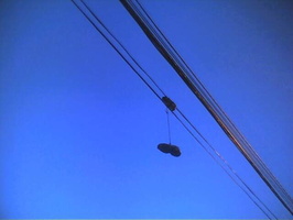 Picture530 03Oct04