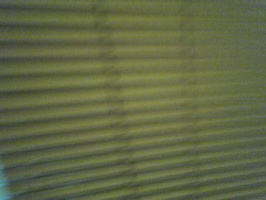 Window Shades