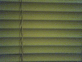 Window Shades