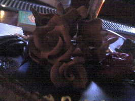 Photo 013106 013