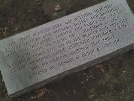 Photo 020106 020