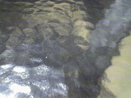 Photo 060706 013