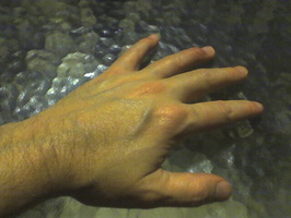 Photo 060706 018