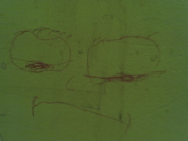 Photo 081605 013