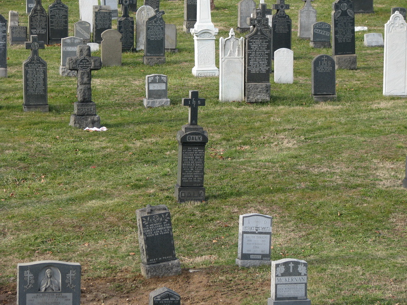 Wider View of the Daly Marker