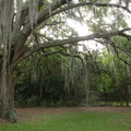 Hamner Tower Park, Tampa