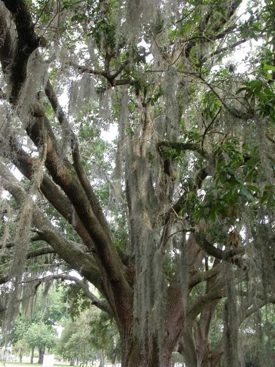 Hamner Tower Park, Tampa