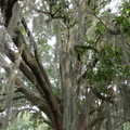 Hamner Tower Park, Tampa