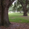 Hamner Tower Park, Tampa