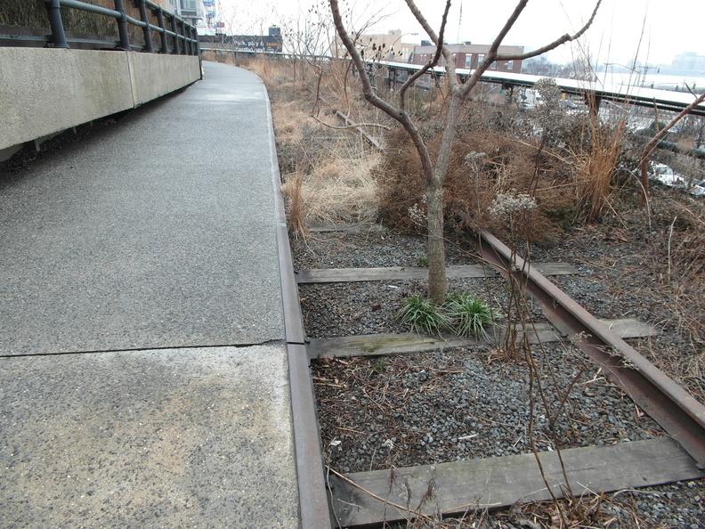 The High Line, Chelsea, NYC