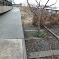 The High Line, Chelsea, NYC