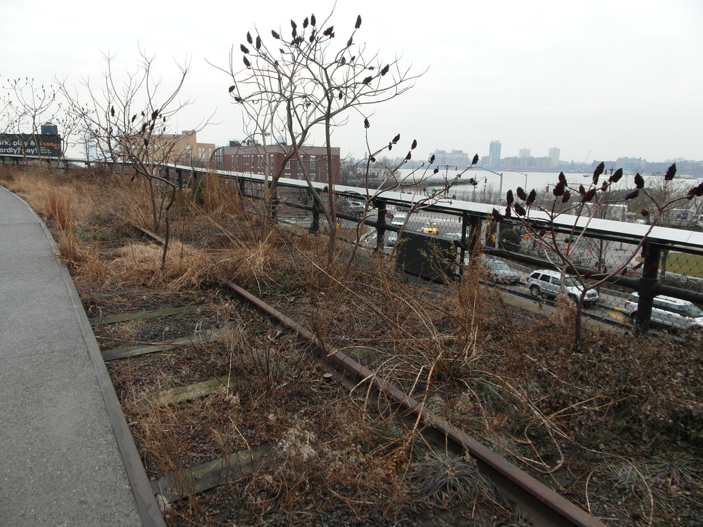 The High Line, Chelsea, NYC