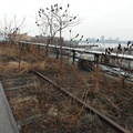 The High Line, Chelsea, NYC