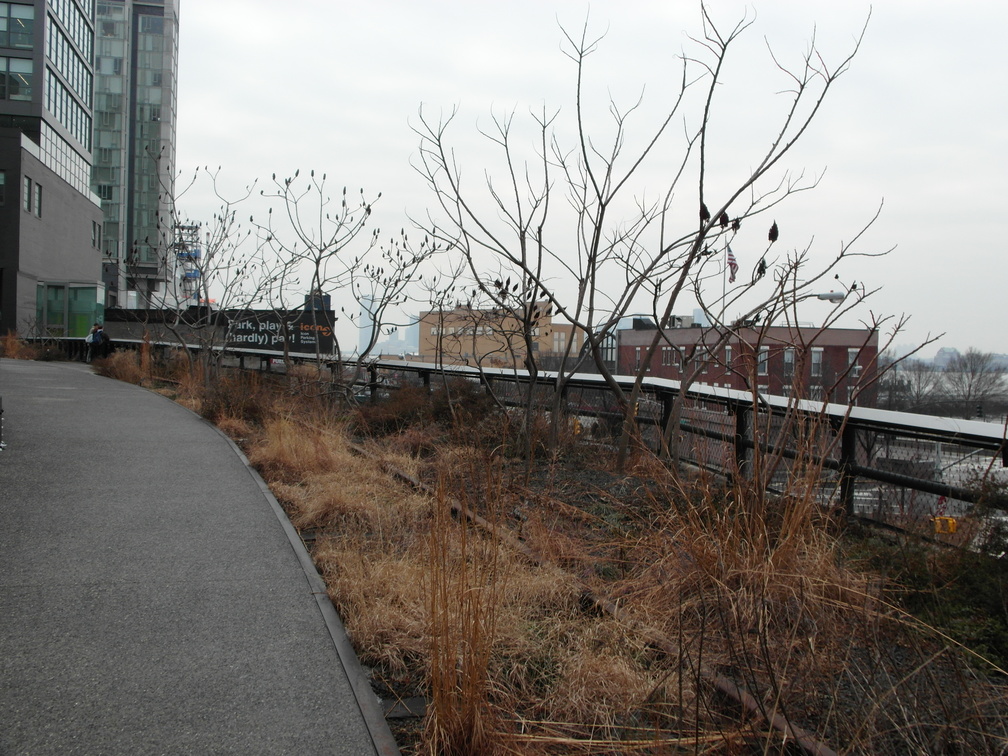 The High Line, Chelsea, NYC