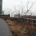 The High Line, Chelsea, NYC