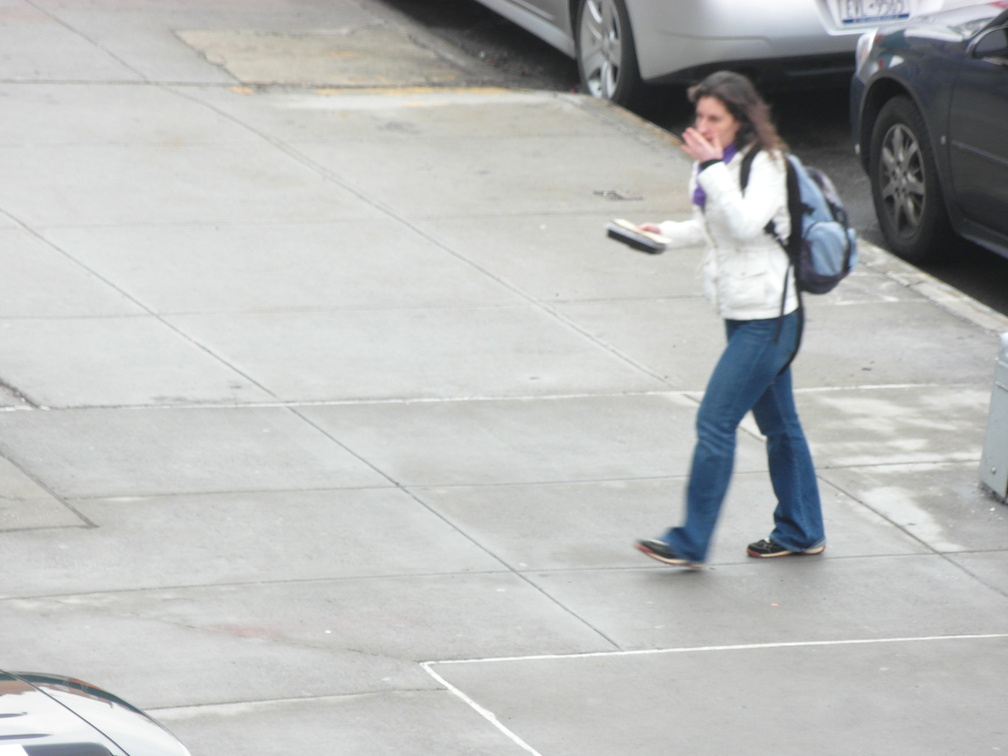 The High Line, Chelsea, NYC