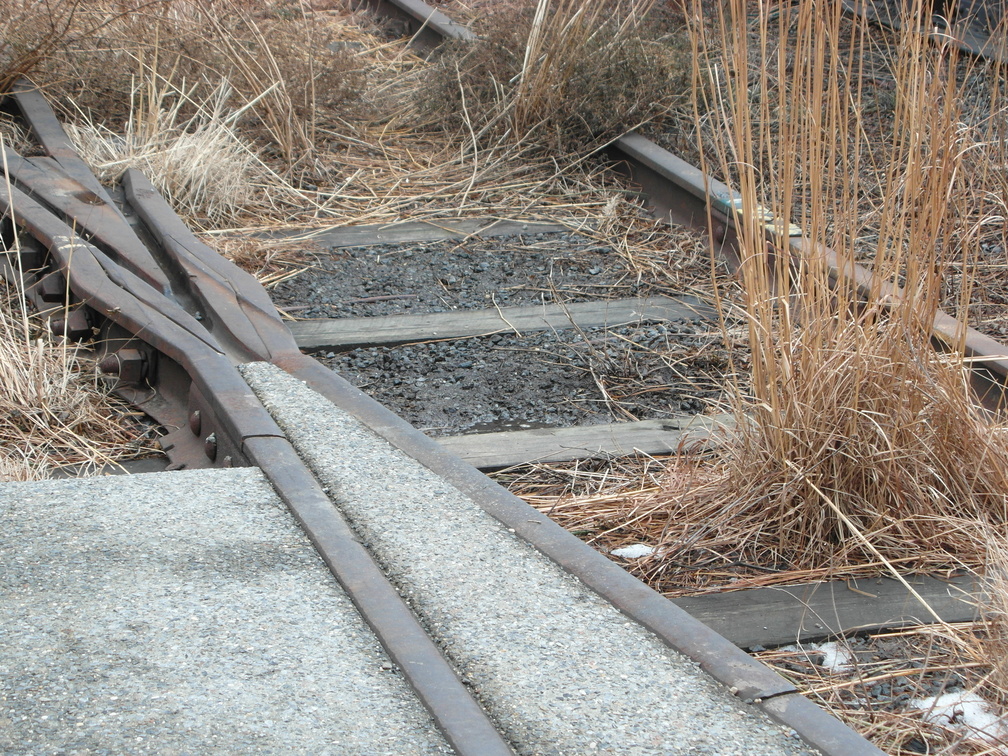 Carson, by Tomoaki Suzuki. The High Line, Chelsea, NYC