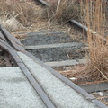 Carson, by Tomoaki Suzuki. The High Line, Chelsea, NYC